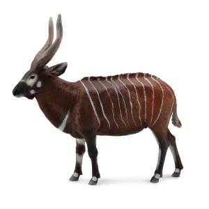 Bongo Antelope