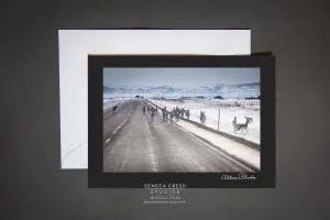 "Wyoming Traffic Jam Pronghorn Antelope on the Road" Photo Art Greeting Card