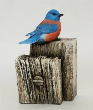 Western Bluebird "Post and Beam"